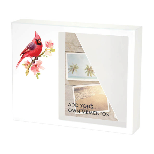 Shadowbox Remembrance Keepsake Cardinal