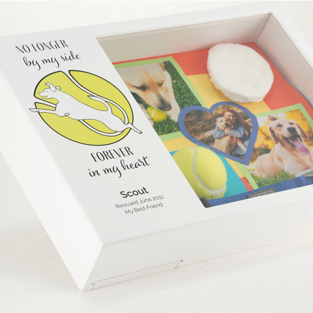 Shadowbox Pet Urn Forever Tennis Ball