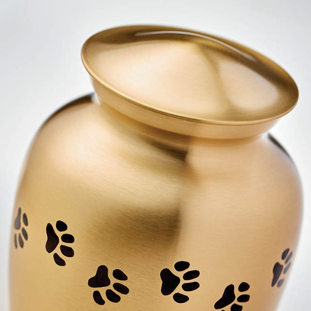 Classic Paw Brass, Extra Small Urn