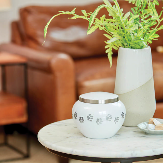 Odyssey® Pearl, Extra Small