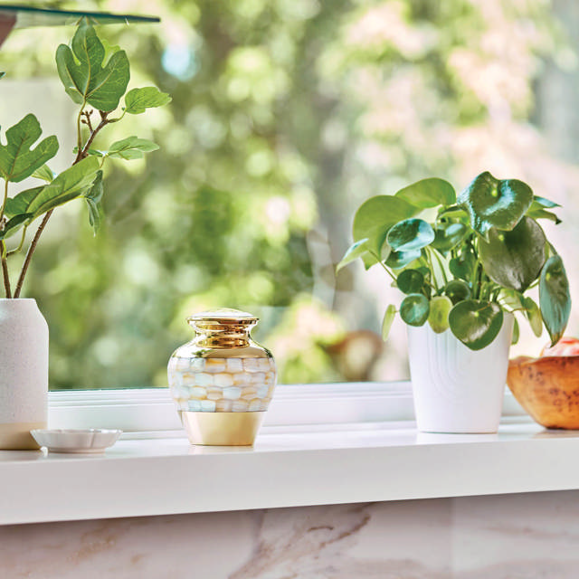 Elite Mother of Pearl, Extra Small Urn