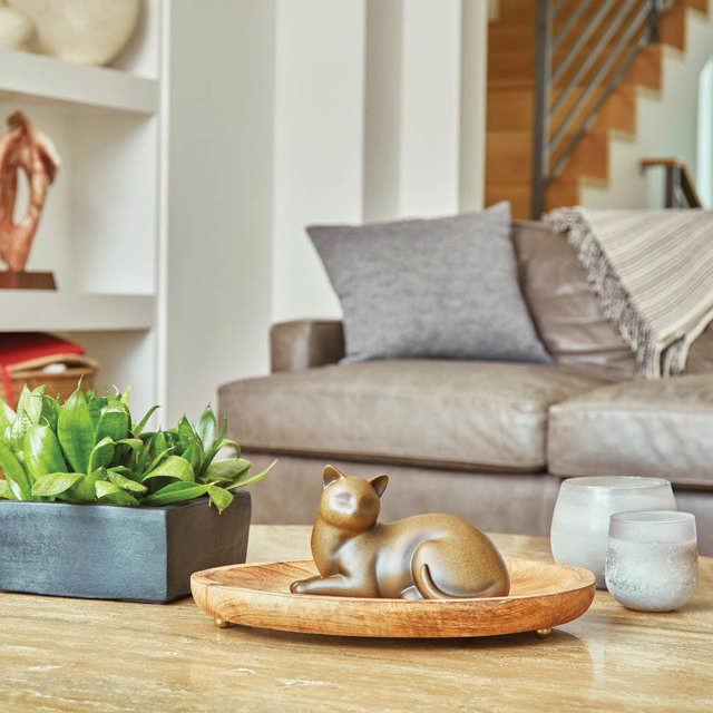 Cozy Cat Sable, Petite Urn