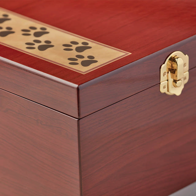 Paw Print Memento Chest