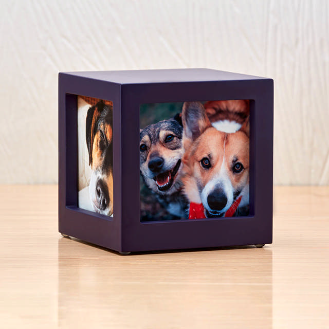 Photo Cube Violet, Small Urn