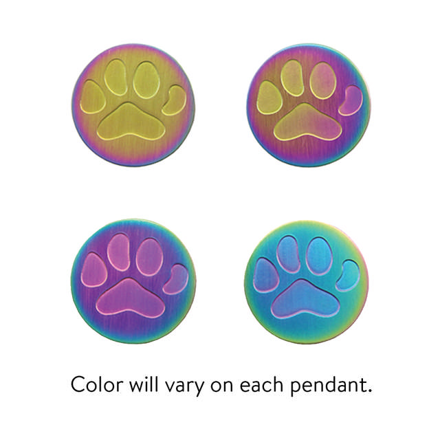 Rainbow Round Large Paw