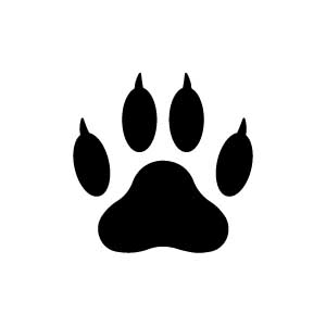 Cat Paw Print