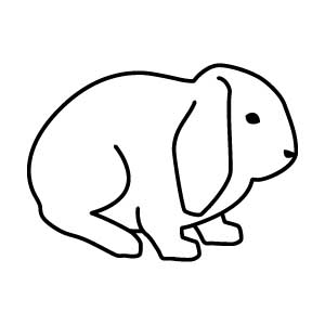 Lop-eared Rabbit